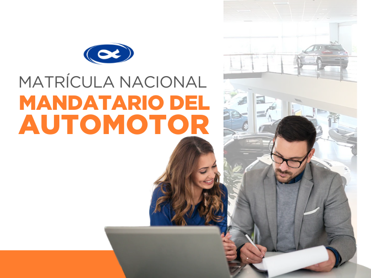 MANDATARIO REGISTRAL DEL AUTOMOTOR 2024